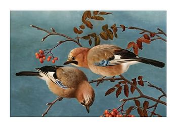 Poszter Jays By Ferdinand Von Wright