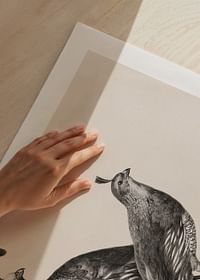 Gamble Quail By Charles Christian Nahl-5
