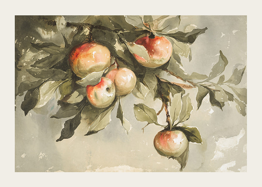 Study Of Apples-12