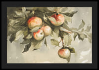 Study Of Apples-4