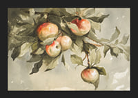 Study Of Apples-5