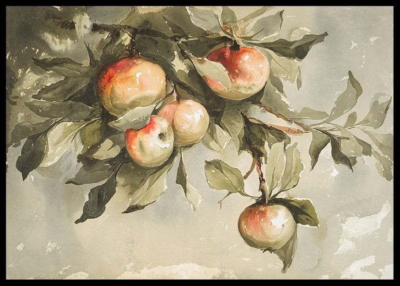 Study Of Apples-12