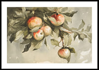 Study Of Apples-0