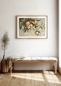 Study Of Apples-8