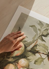 Study Of Apples-9