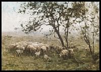 Een Kudde Schapen By William Charles Estall-2
