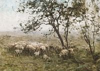 Een Kudde Schapen By William Charles Estall-3