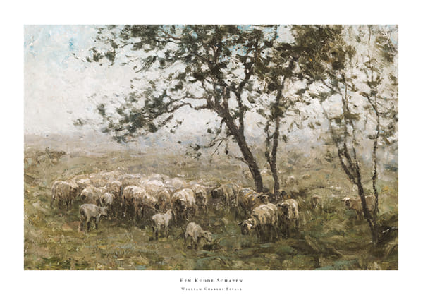 Plakatas Een Kudde Schapen By William Charles Estall