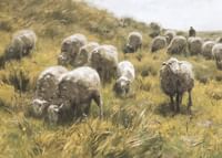 Op De Duinen By Anton Mauve-3