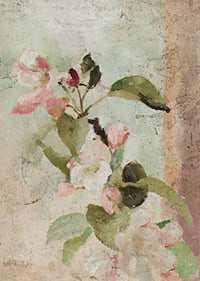 Apple Blossoms By Jan Ciągliński-9