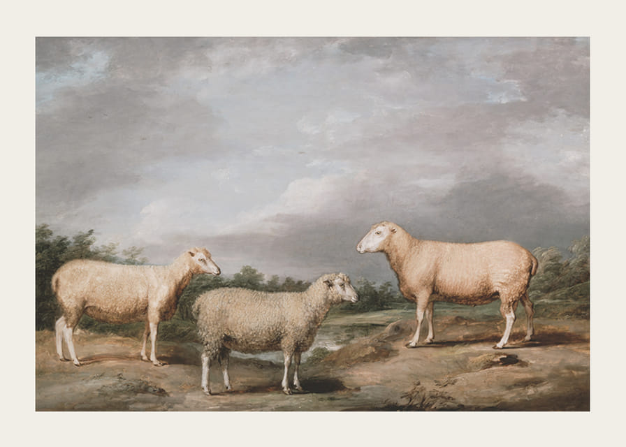 Ryelands Sheep The King's Ram The King's Ewe And Lord Somerville's Wether By James Ward-12