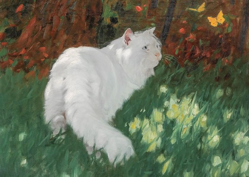 White Cat And Butterflies By Arthur Heyer-12