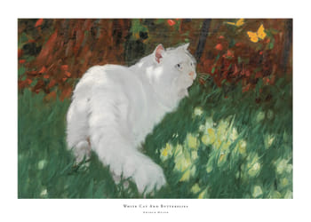 Poster White Cat And Butterflies By Arthur Heyer