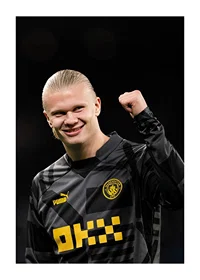 Erling Haaland soccer player in Manchester City, Premier League, England.-1