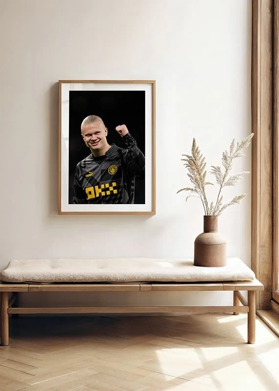 Erling Haaland soccer player in Manchester City, Premier League, England.-12