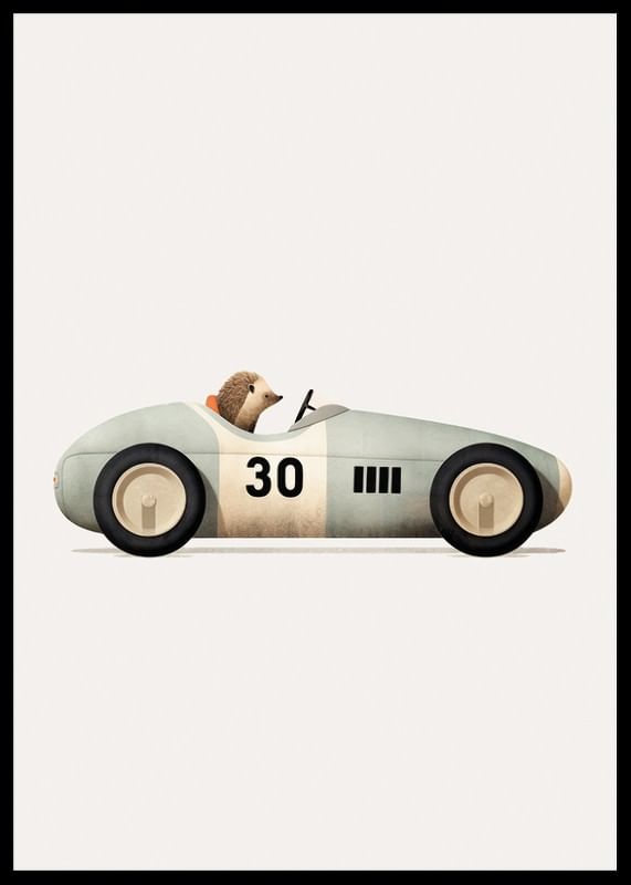 Hedgehog In Toy Car-12