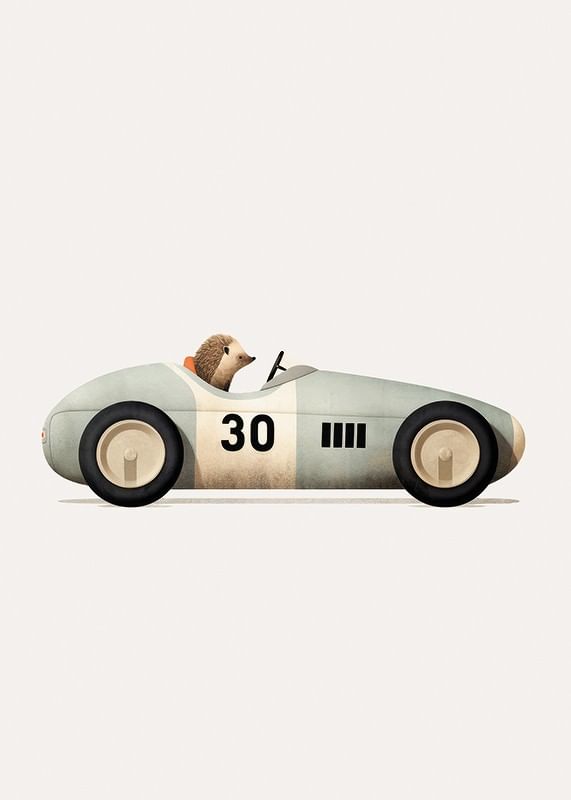 Hedgehog In Toy Car-12
