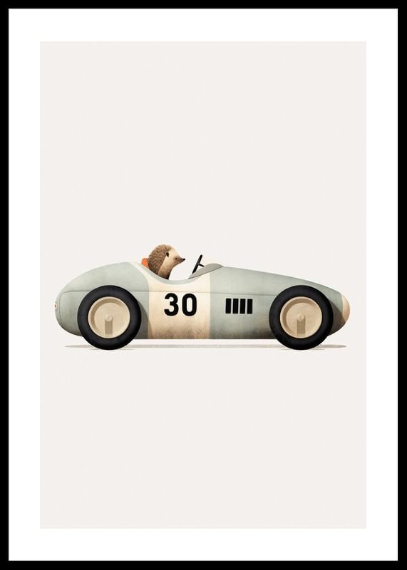 Hedgehog In Toy Car-12