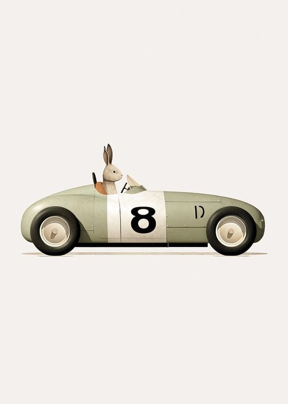 Rabbit In Toy Car-12