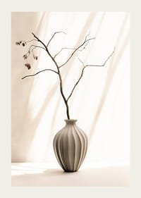 Fotografia konára v keramickej váze na svetlom pozadí-3