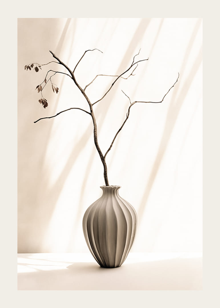 Fotografia konára v keramickej váze na svetlom pozadí-12