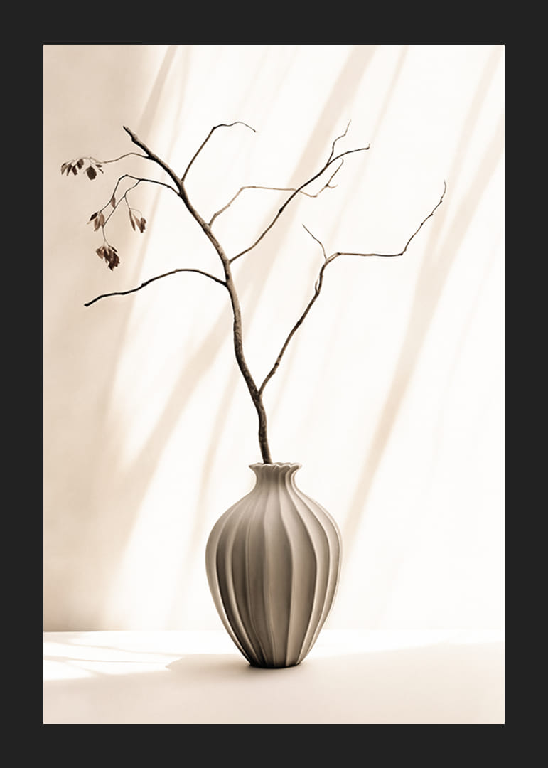 Fotografia konára v keramickej váze na svetlom pozadí-12