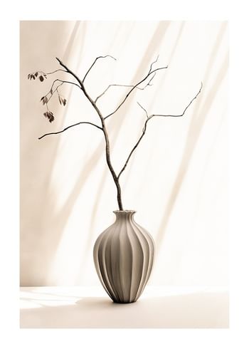 Poster Flower Pot And Branch No1