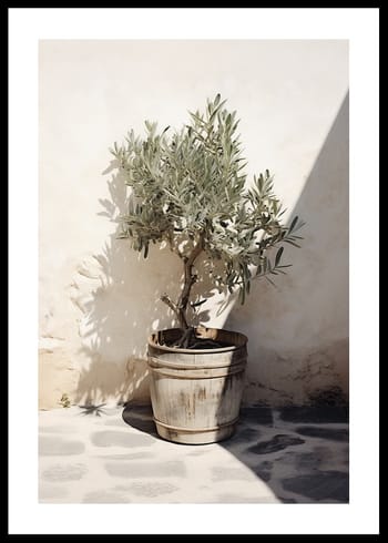 Poster Olive Tree Mediterranean No2