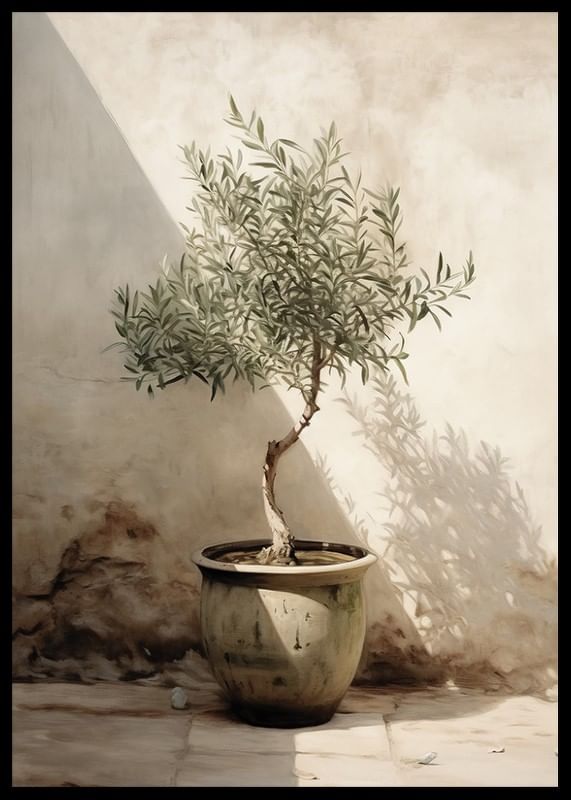 Olive Tree Mediterranean No1-12