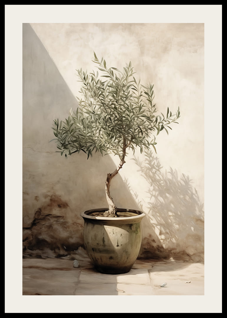 Akvarell olajfáról, cserépben, napsütötte falnak vetve-12