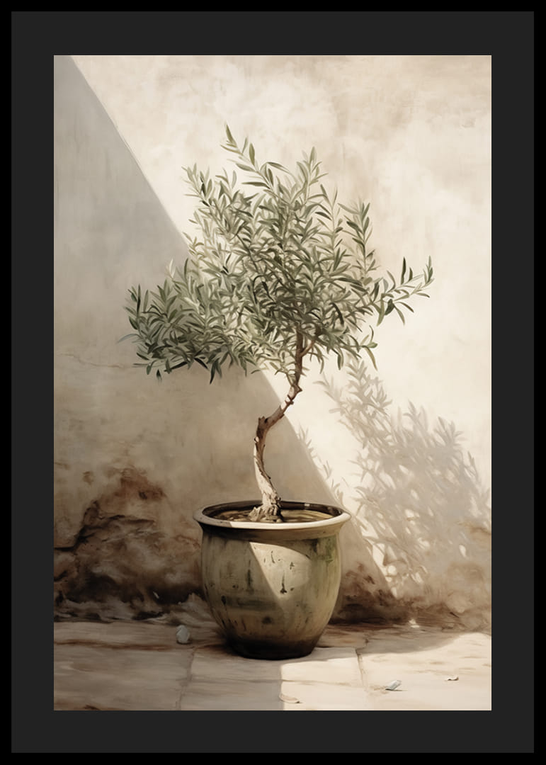 Akvarell olajfáról, cserépben, napsütötte falnak vetve-12