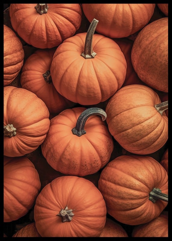 Close-up of several pumpkins in lovely orange-red colors with clear stems-12