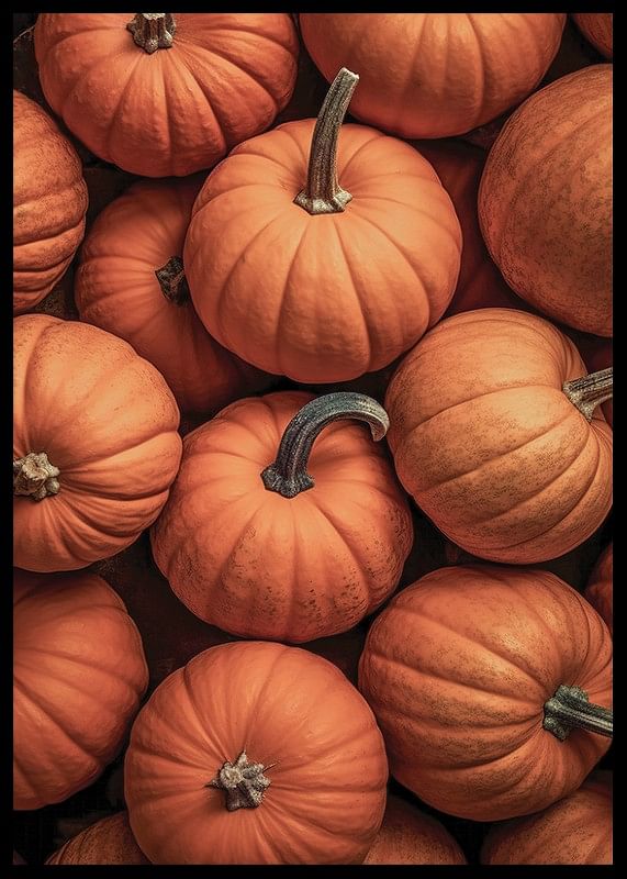 Pumpkins-12