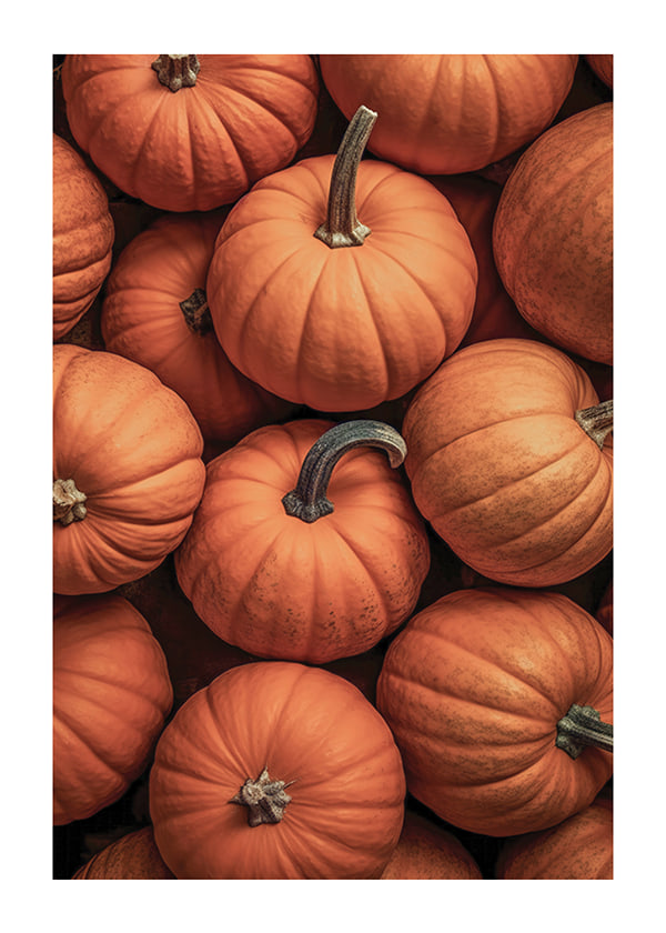 Plakāts Pumpkins