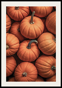 Close-up of several pumpkins in lovely orange-red colors with clear stems-2