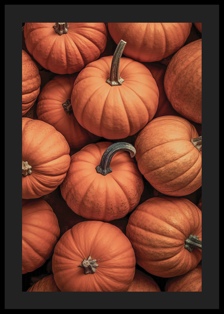 Närbild av flera pumpor i härliga orangeröda färger med tydliga stjälkar-12