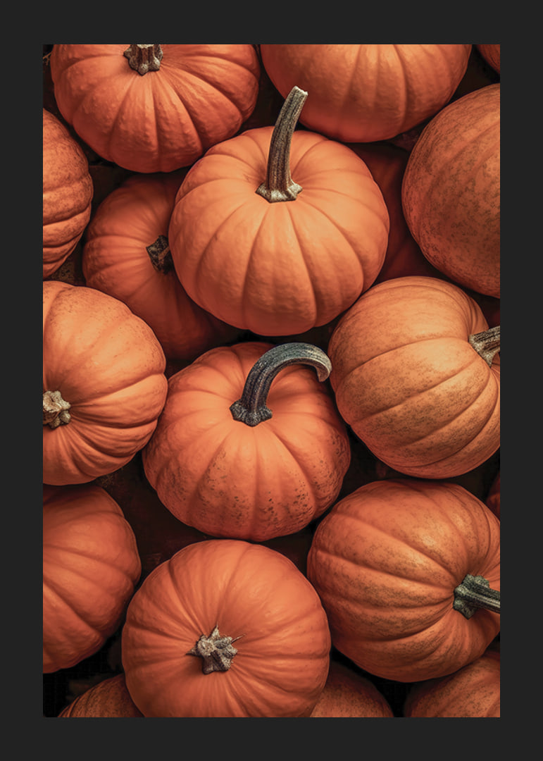 Close-up of several pumpkins in lovely orange-red colors with clear stems-12