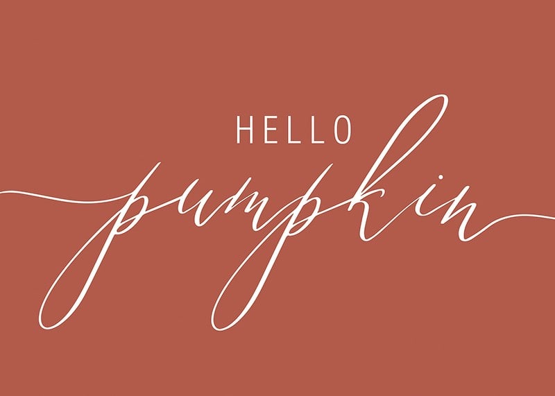 White handwritten text 'Hello Pumpkin' in script style on warm autumn red background-12