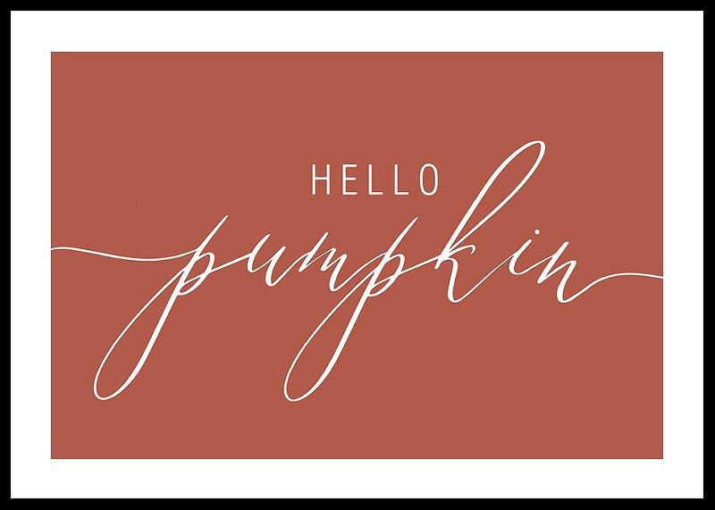 Hello Pumpkin-12