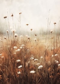 Watercolor of dried autumn flowers and meadow grass in beige tones-7