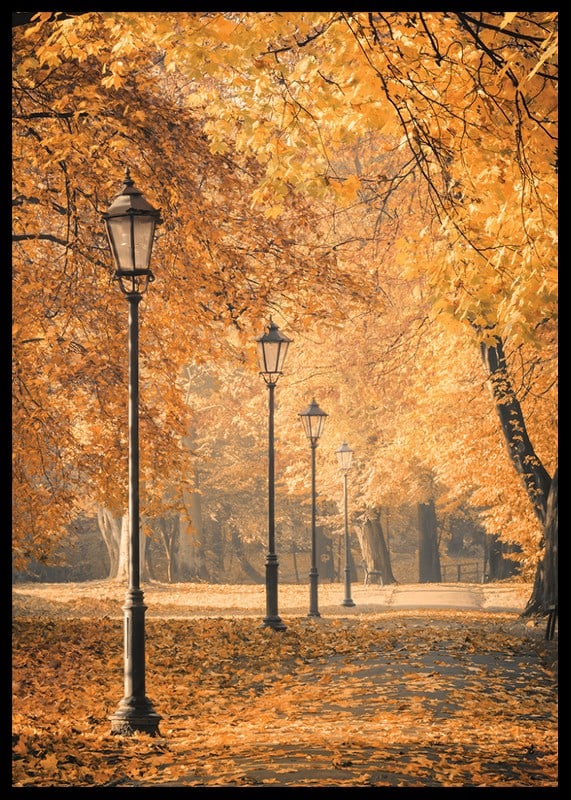 Fotografia del sentiero del parco con lampioni e foglie autunnali gialle-12