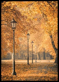 Photograph of park path with lampposts and yellow autumn leaves-6