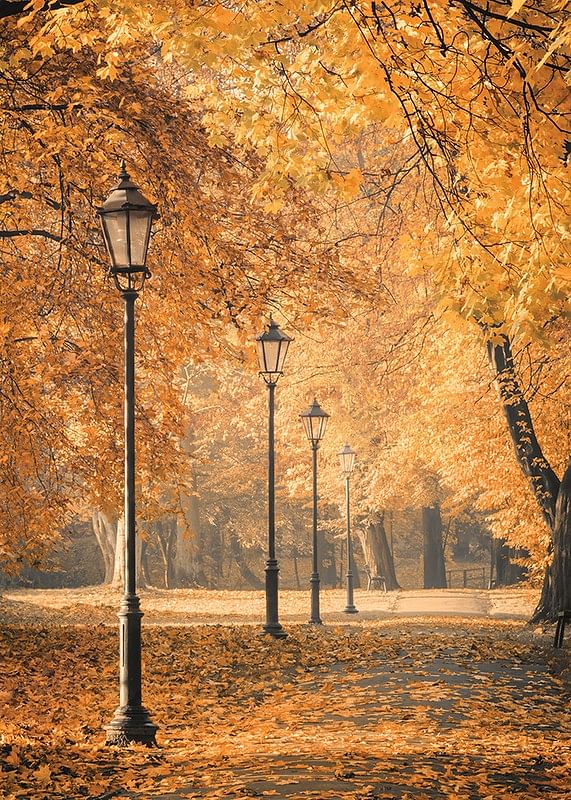 Autumn Walkway-12