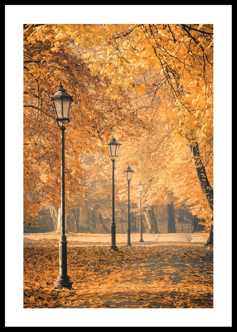 Photograph of park path with lampposts and yellow autumn leaves-12