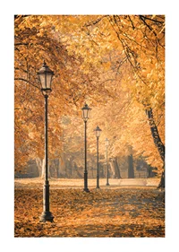 Photograph of park path with lampposts and yellow autumn leaves-1