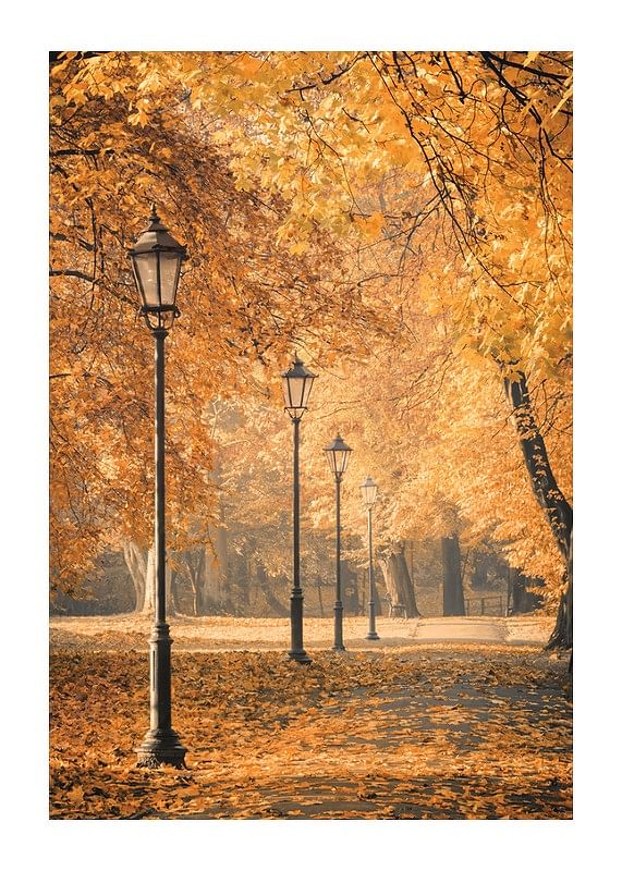 Autumn Walkway-12