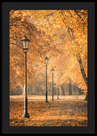 Foto van parkpad met lantaarnpalen en gele herfstbladeren-4
