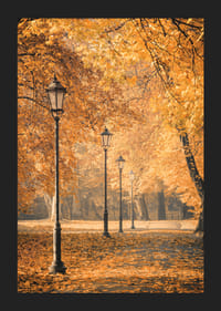 Foto van parkpad met lantaarnpalen en gele herfstbladeren-5