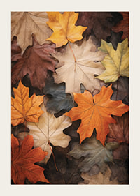 Photographic maple leaves in warm shades of orange, yellow and brown-3
