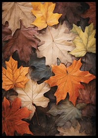 Photographic maple leaves in warm shades of orange, yellow and brown-6